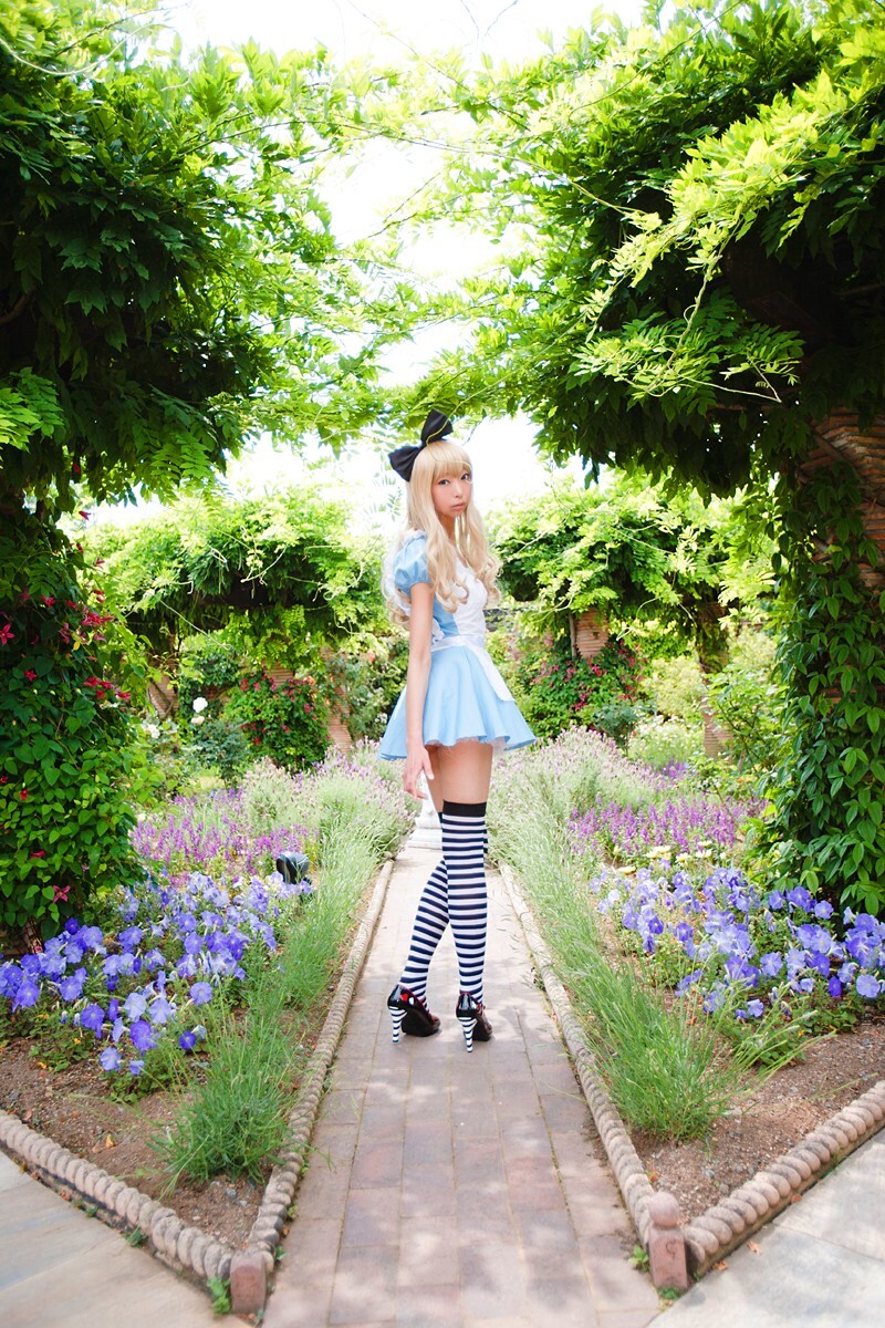 cosplay套图 c78 NECOCO.in.Wonderland